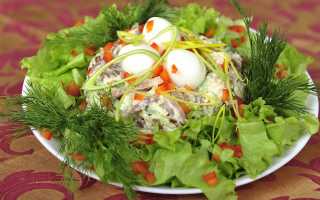 Салат из перепелиных яиц: рецепты приготовления с курицей, креветками и тунцом