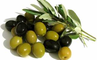 Чем отличаются оливки от маслин? Что из них полезнее?