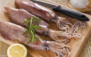 Кальмары: польза и вред для организма человека