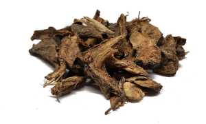 Корень девясила: лечебные свойства и противопоказания, применение в народной медицине