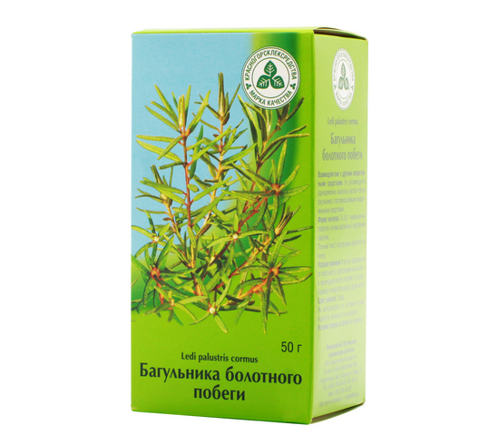 Лечебные свойства багульника болотного