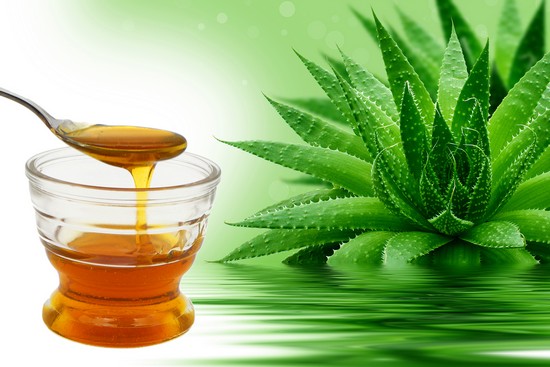 Алоэ с медом: лечебные свойства