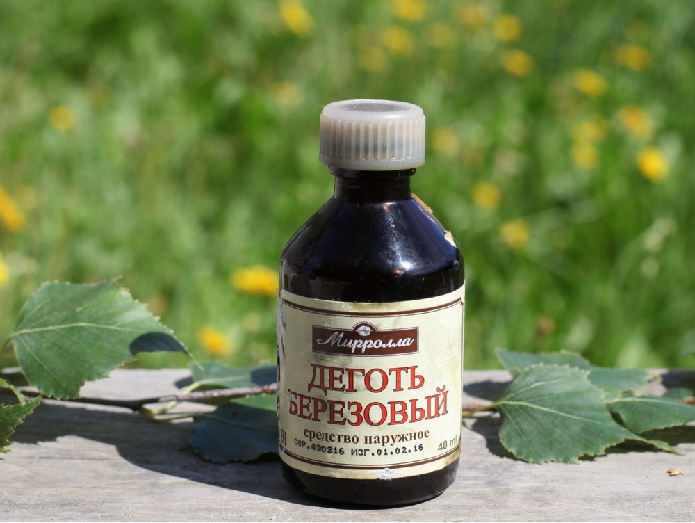 Деготь березовый: применение в медицине (от грибка, паразитов), противопоказания