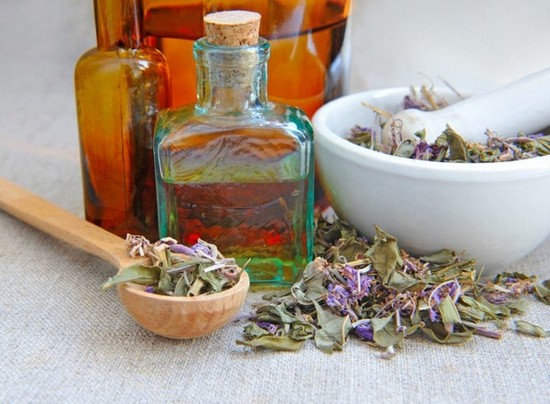 Полезные свойства сабельника болотного