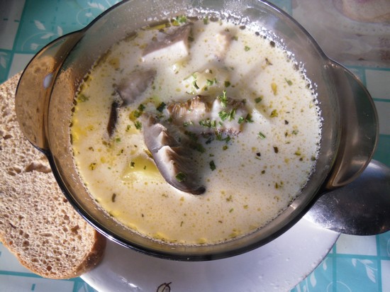 Суп из вешенок с картошкой