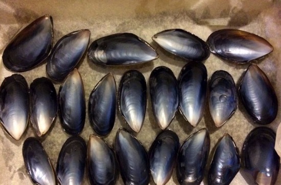 Застелем пергаментом противень