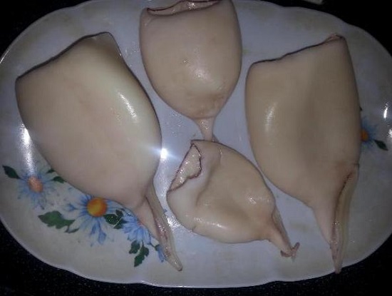 заготовки кальмаровых тушек