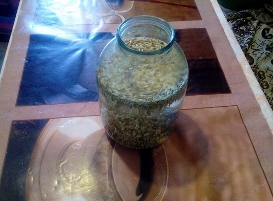 Овсяный квас: рецепт