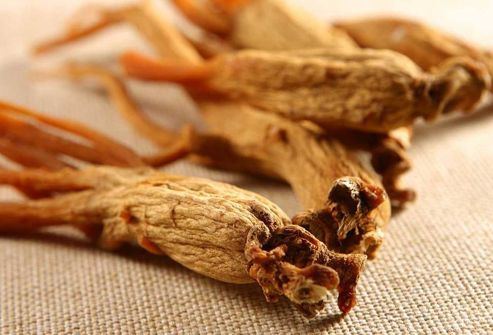 Корень женьшеня: полезные свойства и противопоказания