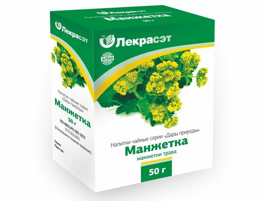 Манжетка: лечебные свойства и противопоказания