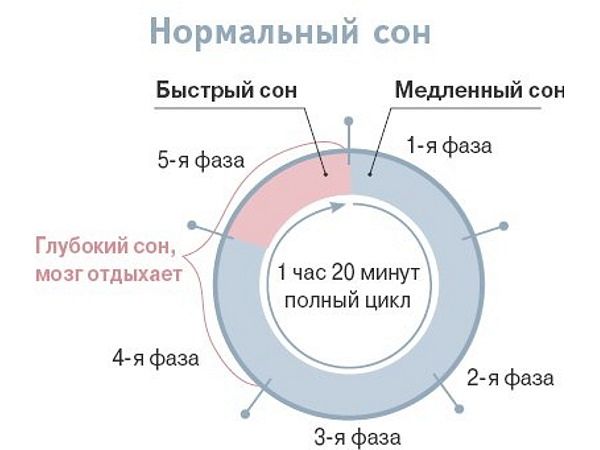 Картинка 3