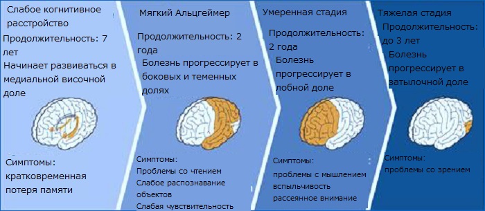 Иллюстрация 1