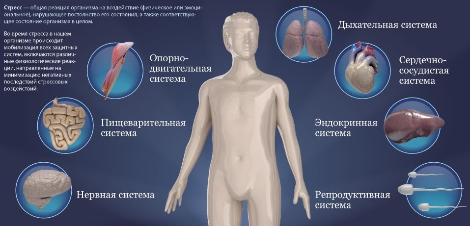 Иллюстрация 1