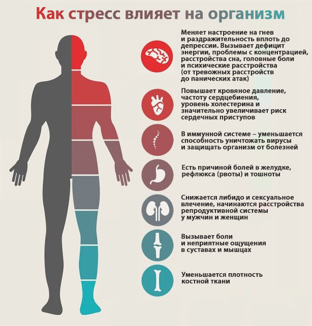 Иллюстрация 2 Иллюстрация 2